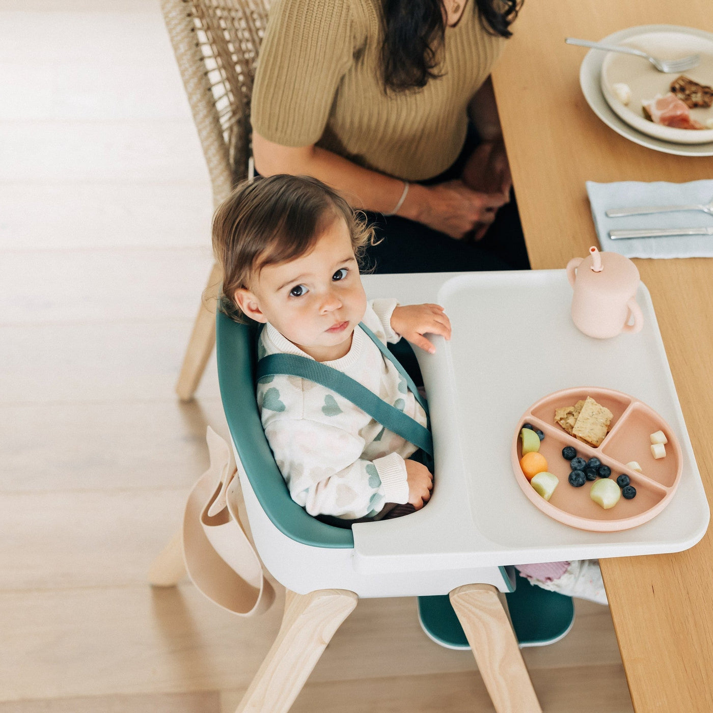 UPPAbaby Ciro High Chair