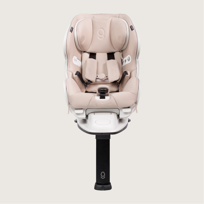 Babyark Convertible Car Seat