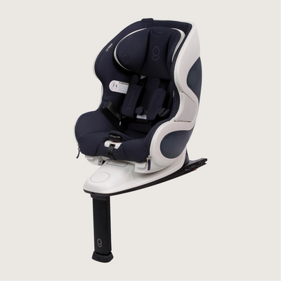 Babyark Convertible Car Seat