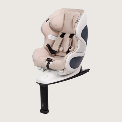 Babyark Convertible Car Seat