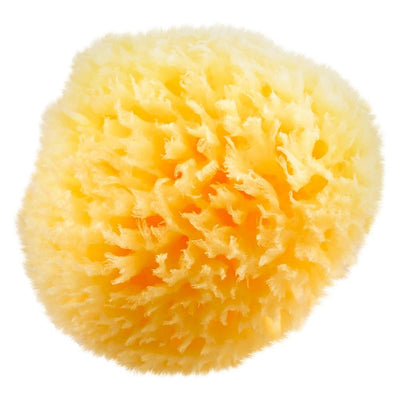 Baby Buddy Bathing Baby Buddy Natural Bath Sponge